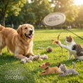🐕✨ Racefully™ Kit de Jeux Interactifs Extérieur – Fun & Complicité Sans Limite